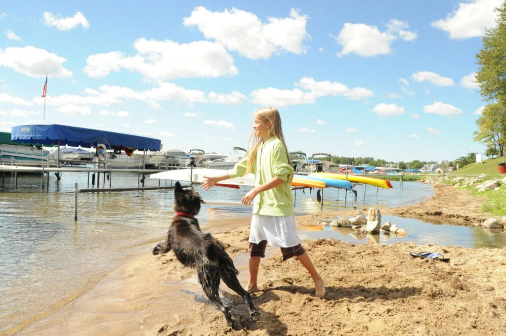 Marshall Culver Lake Dog on shore