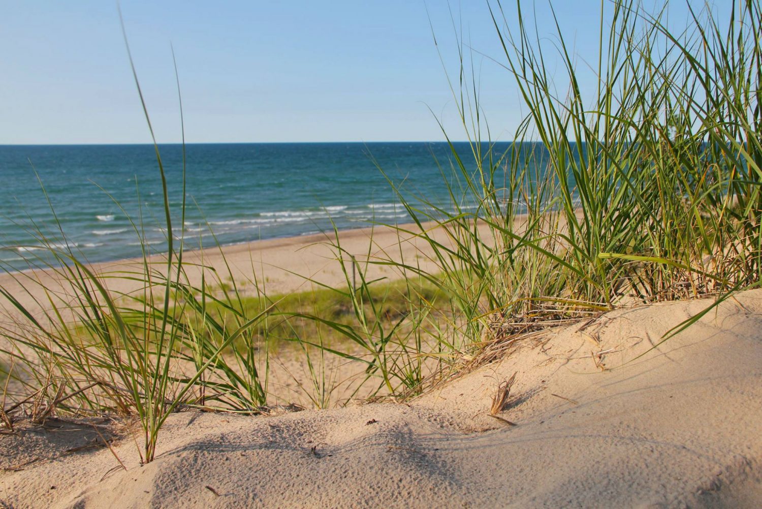 Top 15 Outstanding Things To Do In Northern Indiana NITDC 7-best-family-things-to-do-in-da-nang-what-to-do-for-fun-in-da-nang