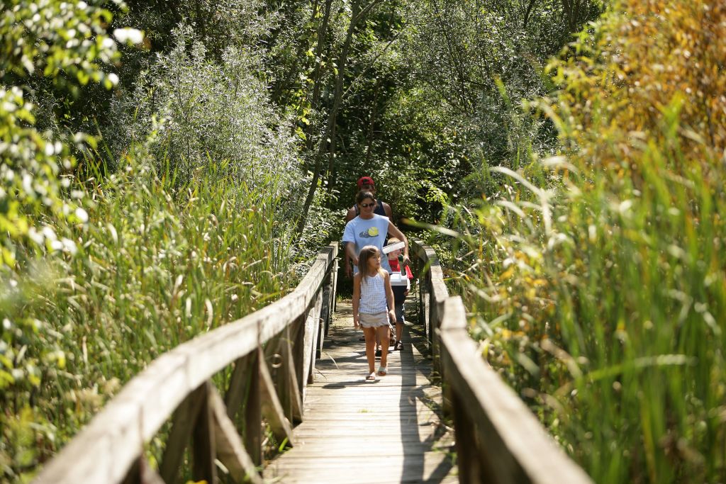 Family at Potato Creek State Park