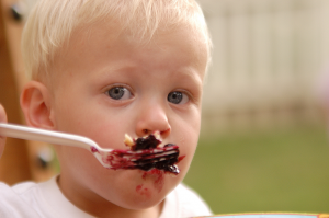 Marshall County Blueberry Festival