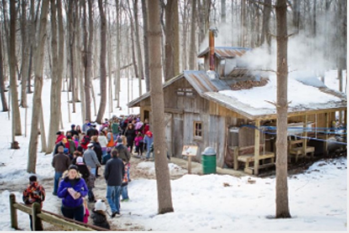 Sugar Camp Days