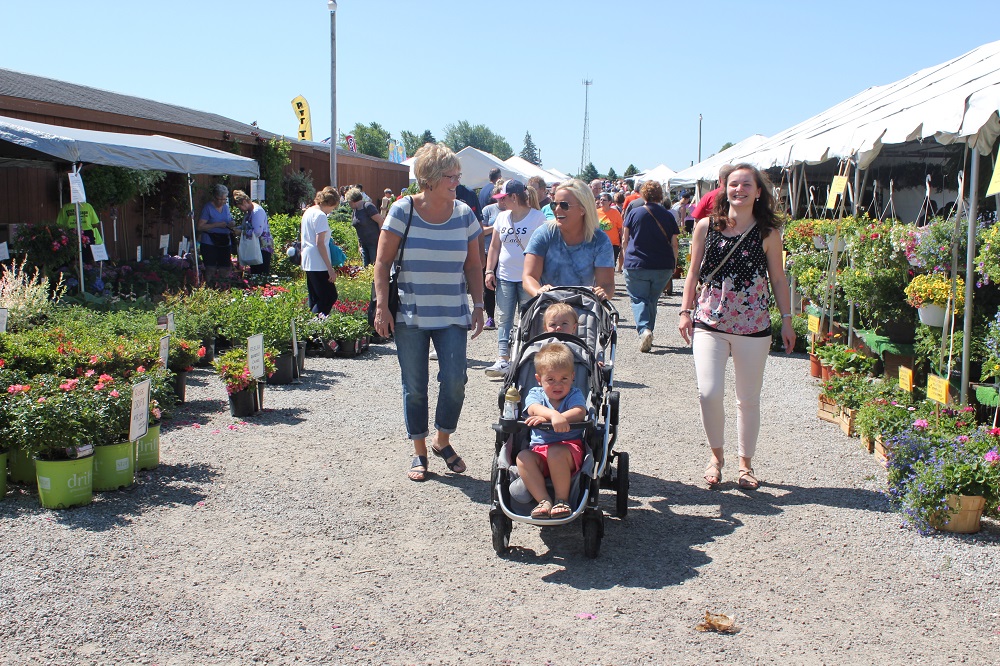 Shipshewana Flea Market