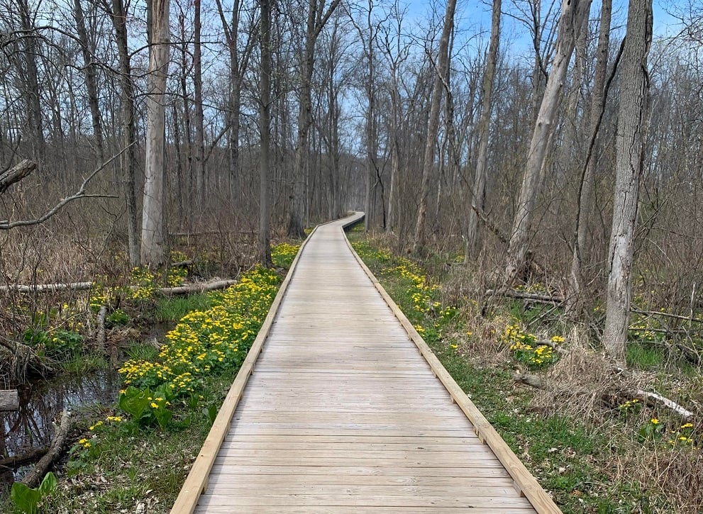 Trail 2 at Indiana Dunes