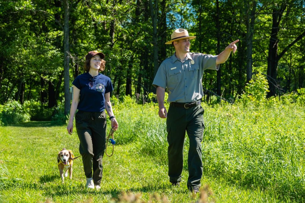 Indiana Dunes Bark Ranger - pets