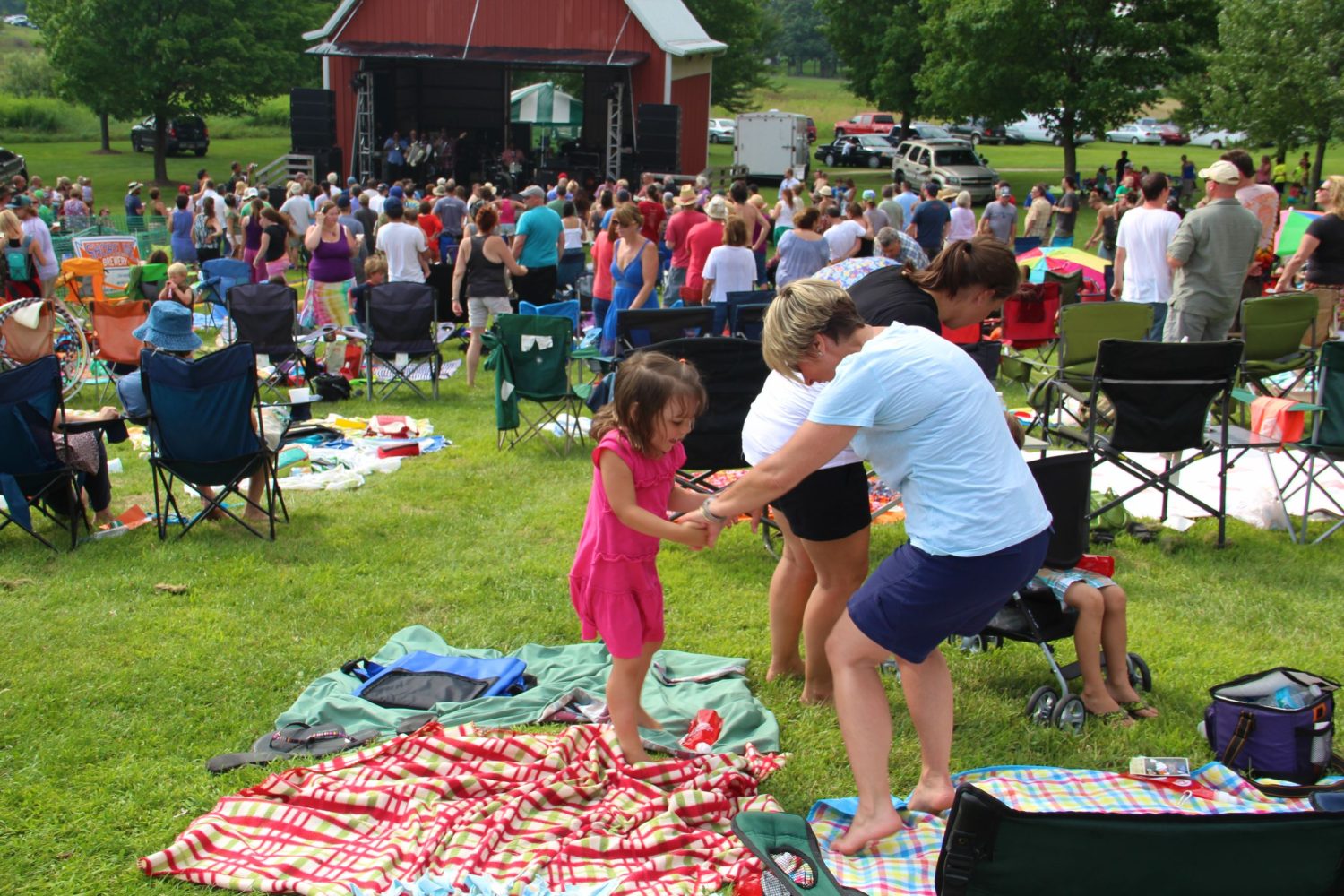 Lightning Bug Music Festival NITDC