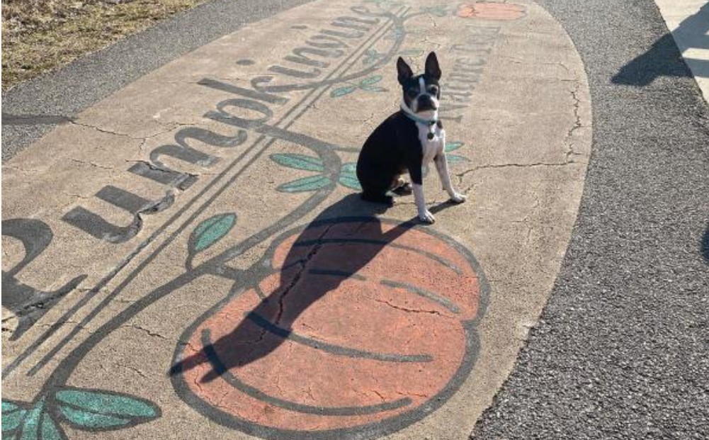 Pet Friendly Pumpkinvine Nature Trail