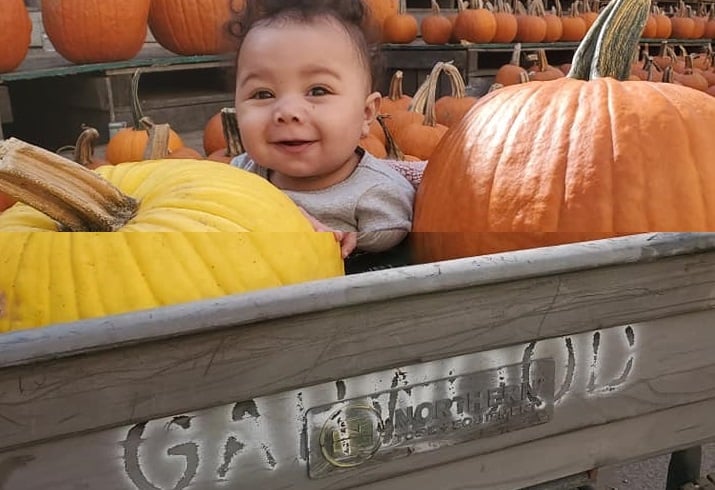 Garwood Orchards for Fall Color and Flavors 1