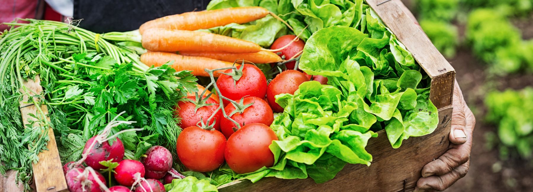 Crate Fresh Vegetables