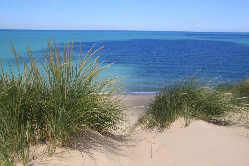 Indiana Dunes National Park and State Park 10