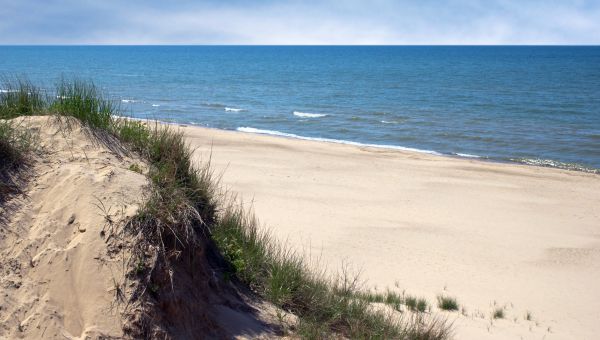 Grassy Indiana Dunes next to beautiful sand beach and ocean