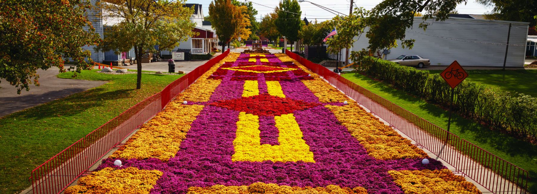 Elkhart Fall Flower Carpet