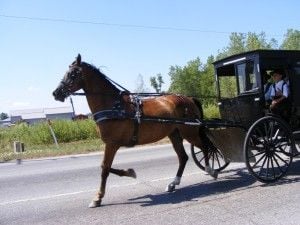 Horse and Buggy