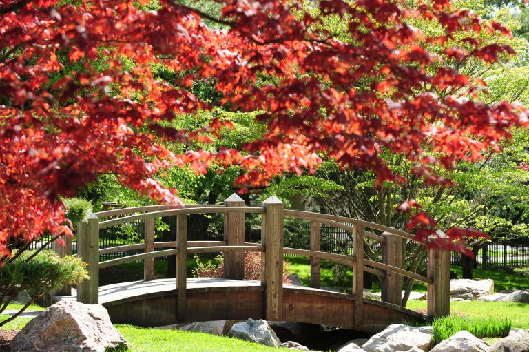 7 Amazing Gardens in Indiana’s Cool North | NITDC