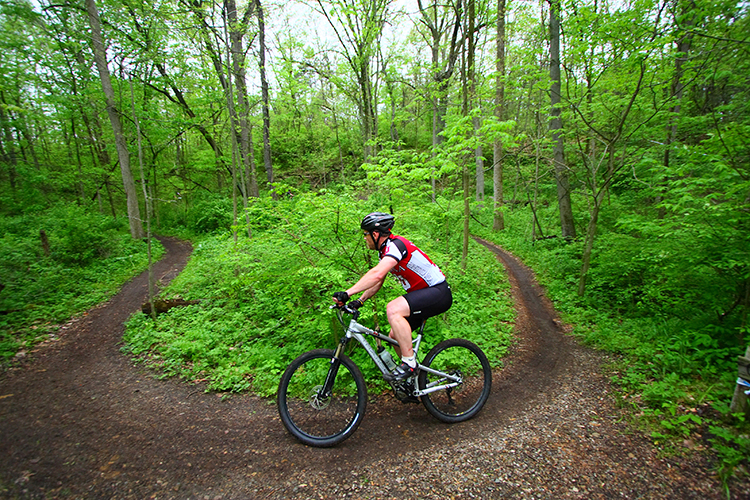 Bike on Trail