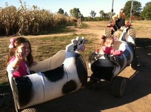 Cow Train