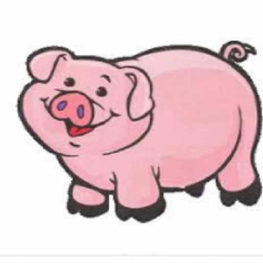 KOUTS PORK FEST
