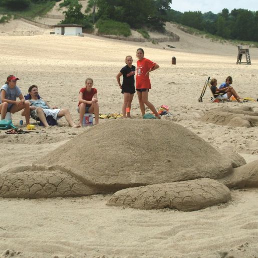 Sand Sculpture Contest at Indiana Dunes State Park
