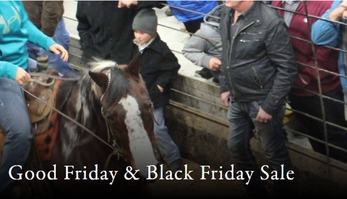 SHIPSHEWANA GOOD FRIDAY HORSE SALE NITDC