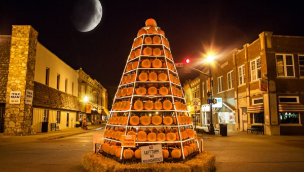 WAKARUSA PUMPKIN TREE