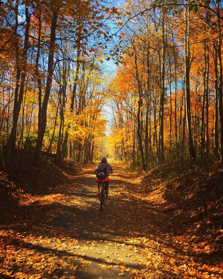 Places to See Fall Foliage in Indianaâ€™s Cool North | NITDC