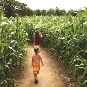 Family Fall Fun in Indiana’s Cool North