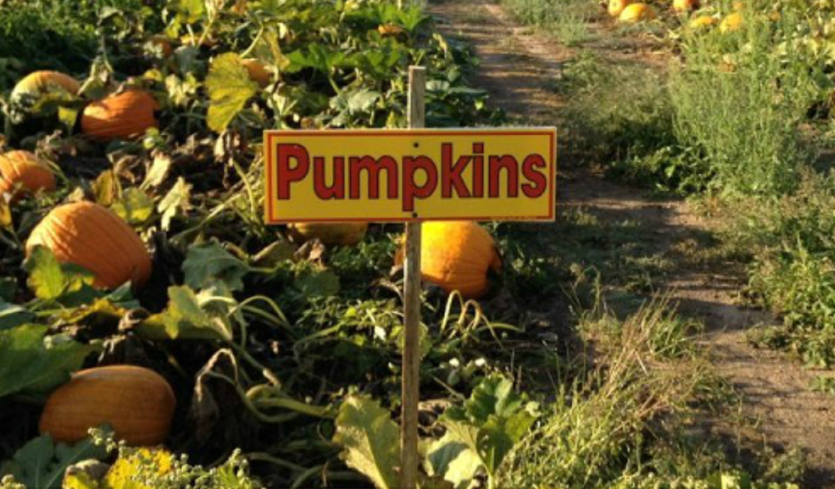Garwood Orchard Nitdc