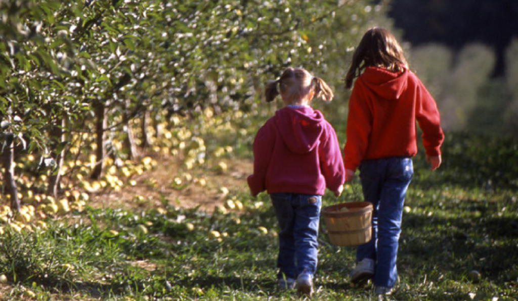 Kercher's Sunrise Orchard