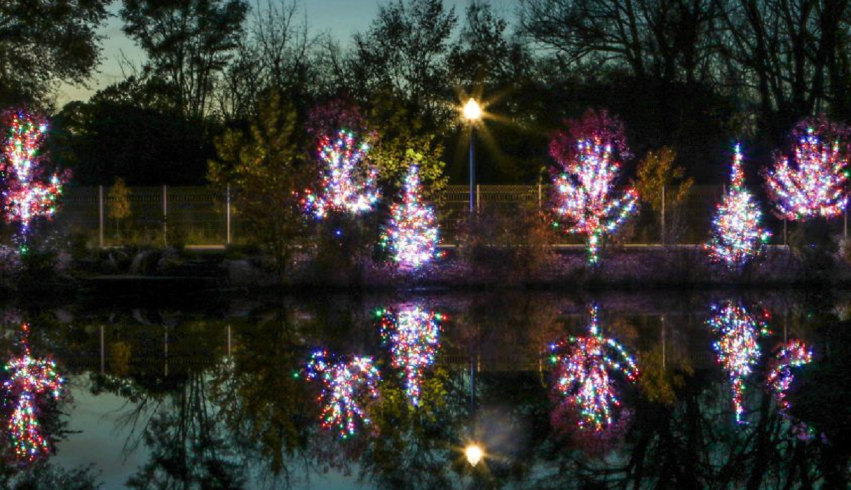 WINTER WONDERLAND AT WELLFIELD BOTANIC GARDENS NITDC