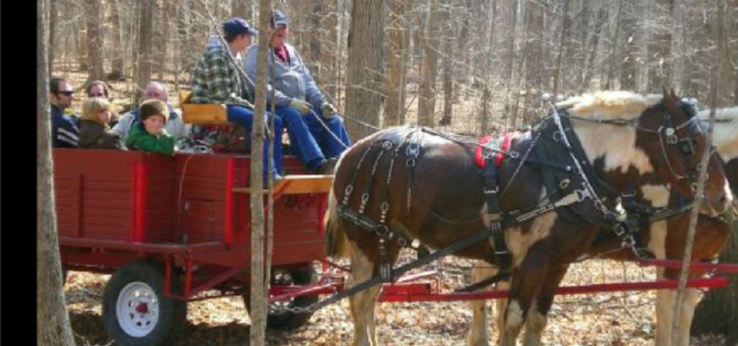 Maple Syrup Days NITDC