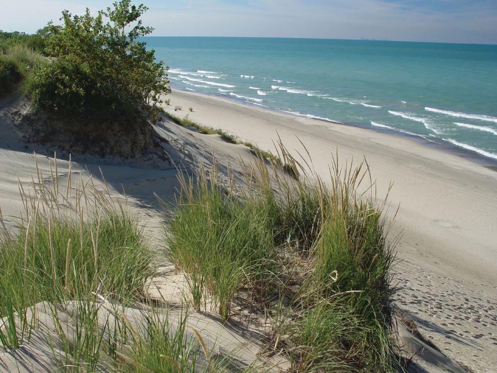 Sand dunes and sea grass along the shore of Lake Michigan in Indiana Dunes Country.
