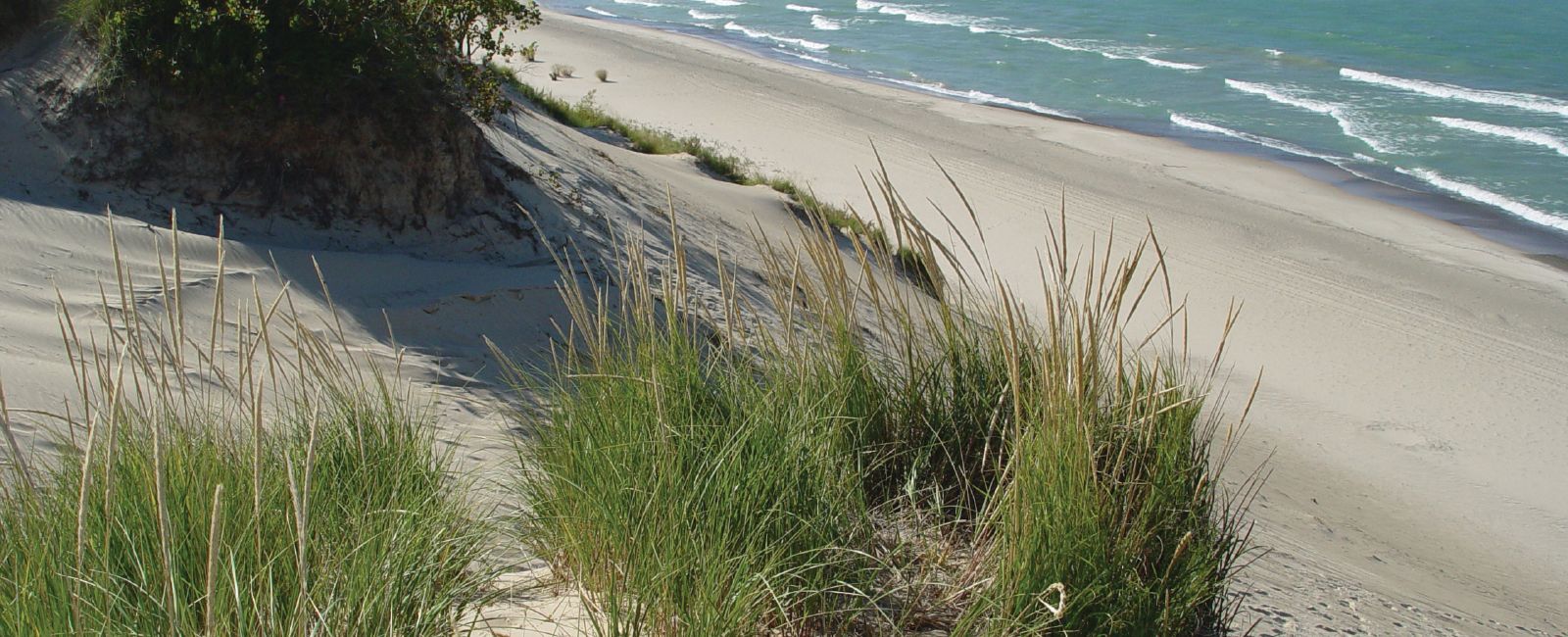 The Top 5 Things to Do in Indiana Dunes 1