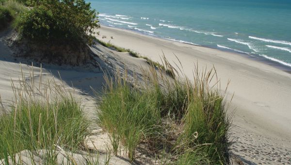The Top 5 Things to Do in Indiana Dunes 1