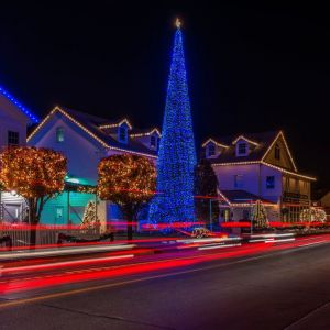 Things to Do during the Holidays 6