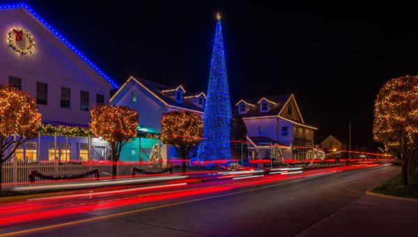 Things to Do during the Holidays 6