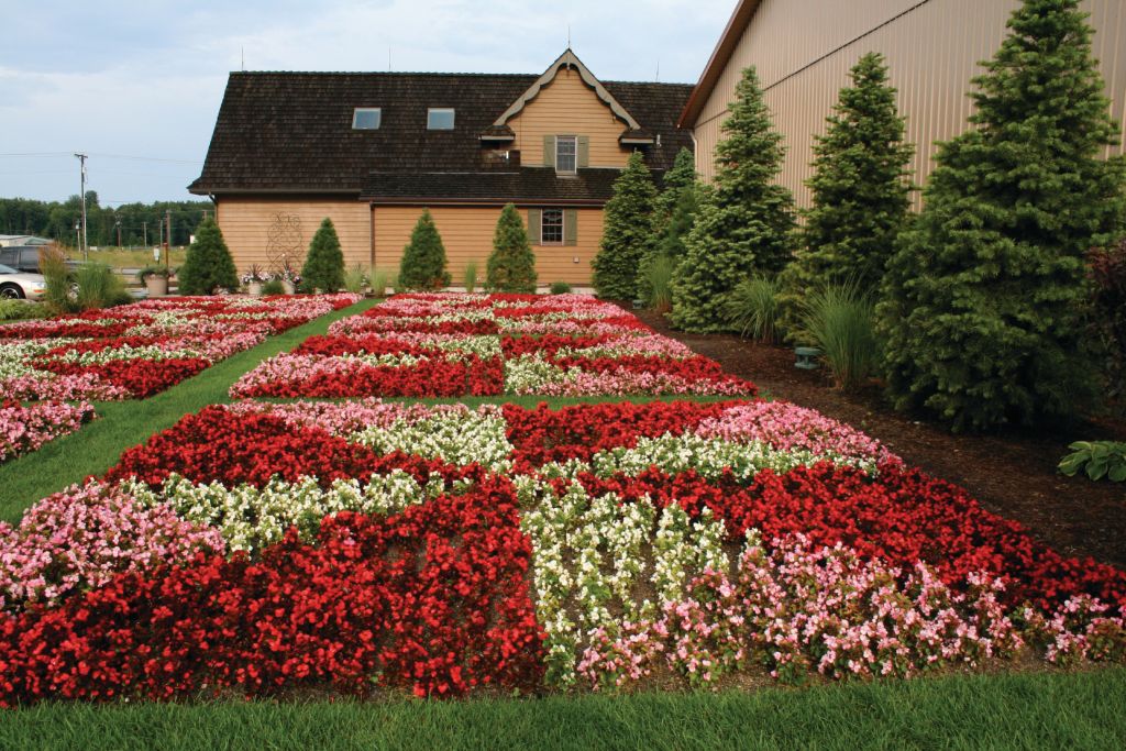 A quilt garden made of flowers in Northern Indiana.