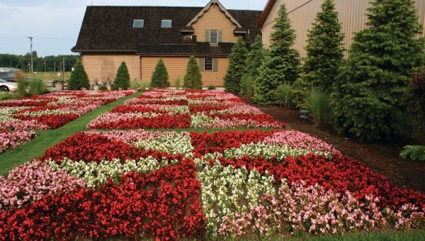 Quilt Gardens along the Heritage Trail 1