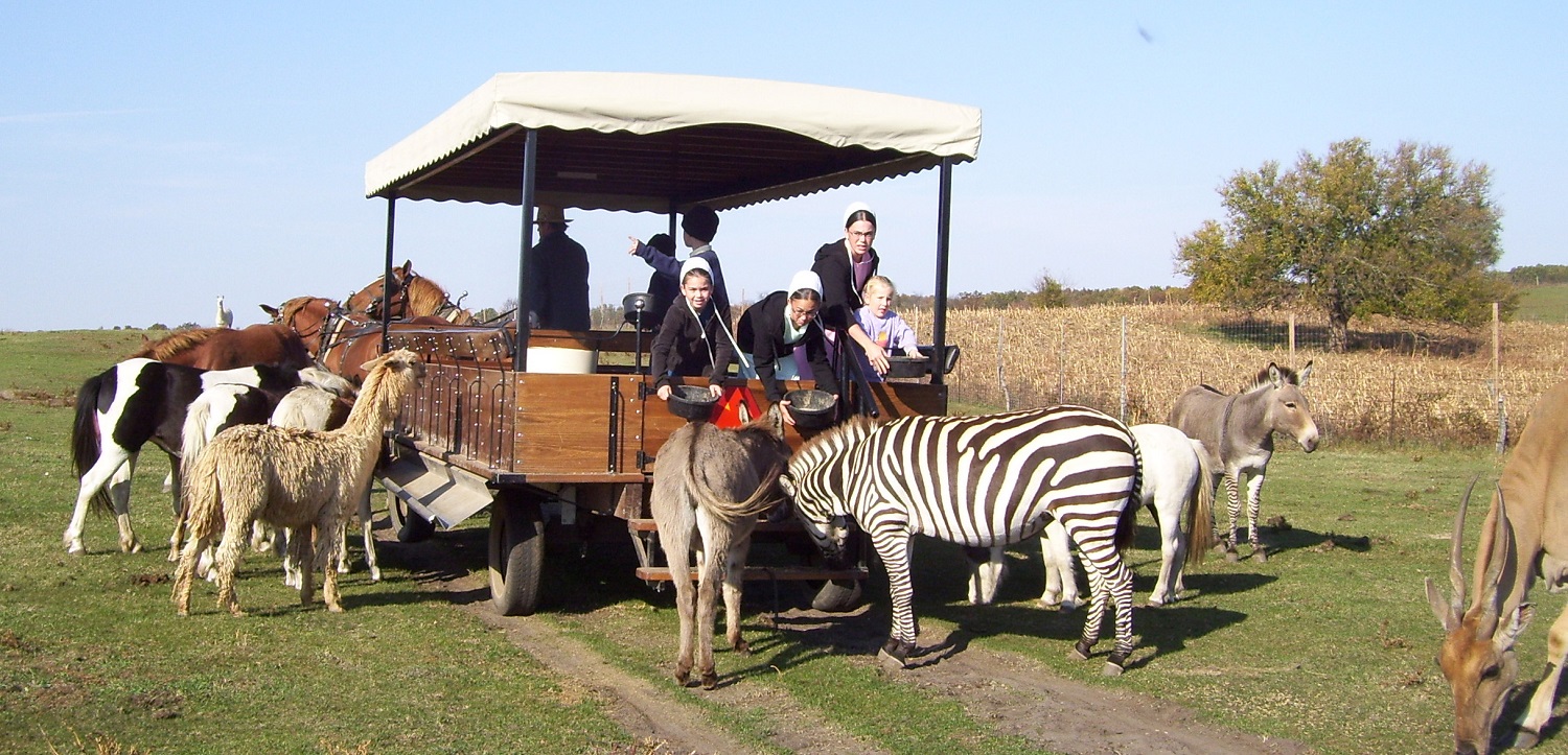 Fun KidFriendly Activities in Northern Indiana NITDC