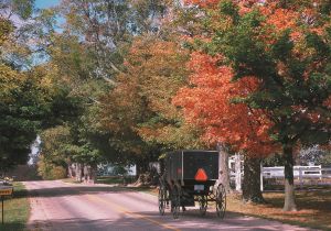 The Heritage Trail fall colors