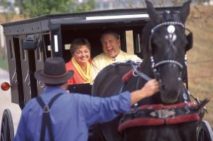 buggy tours