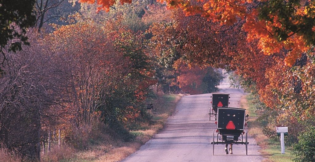 Fall on The Heritage Trail