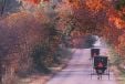 Discover the Fascinating World of the Amish in Northern Indiana 3