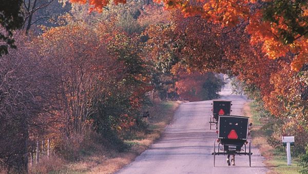 Discover the Fascinating World of the Amish in Northern Indiana 3