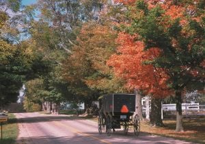 Amish buggy on heritage trail in fall