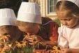 Discover the Fascinating World of the Amish in Northern Indiana 2