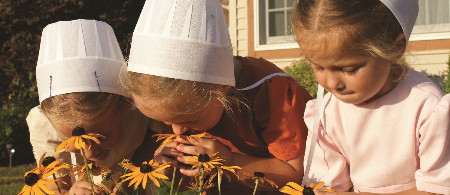 Discover the Fascinating World of the Amish in Northern Indiana 2