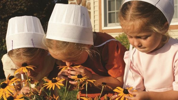 Discover the Fascinating World of the Amish in Northern Indiana 2