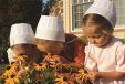 Discover the Fascinating World of the Amish in Northern Indiana 8