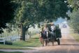 Discover the Fascinating World of the Amish in Northern Indiana 10