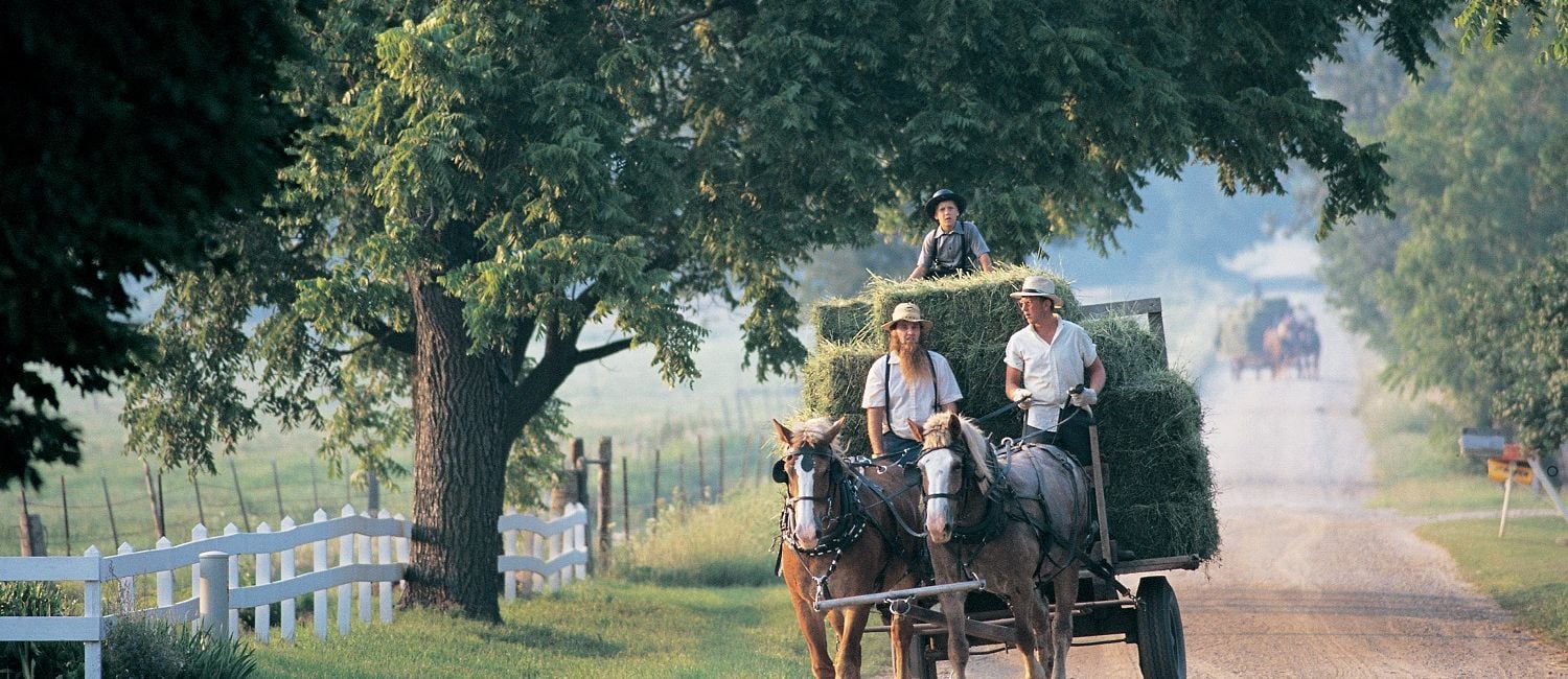 Discover the Fascinating World of the Amish in Northern Indiana 10