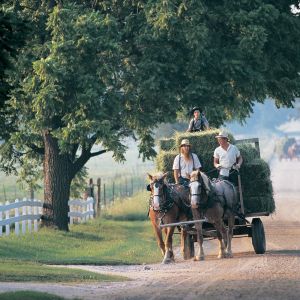 Discover the Fascinating World of the Amish in Northern Indiana 10
